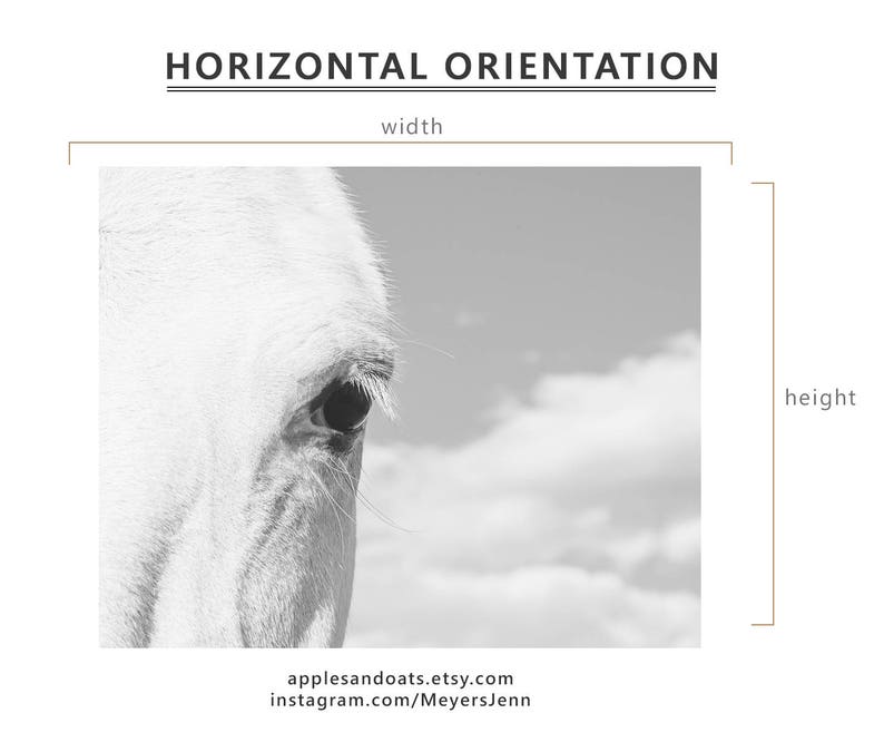 Horse Eye Photograph, Close Up White Horse, Physical Print image 7