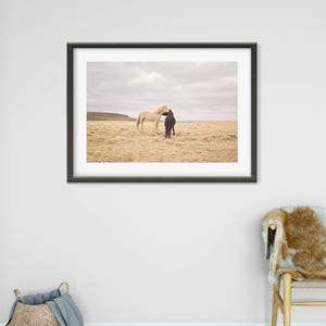 Icelanadic Horses in Color Photograph, Physical Print, Horse Wall Art image 2