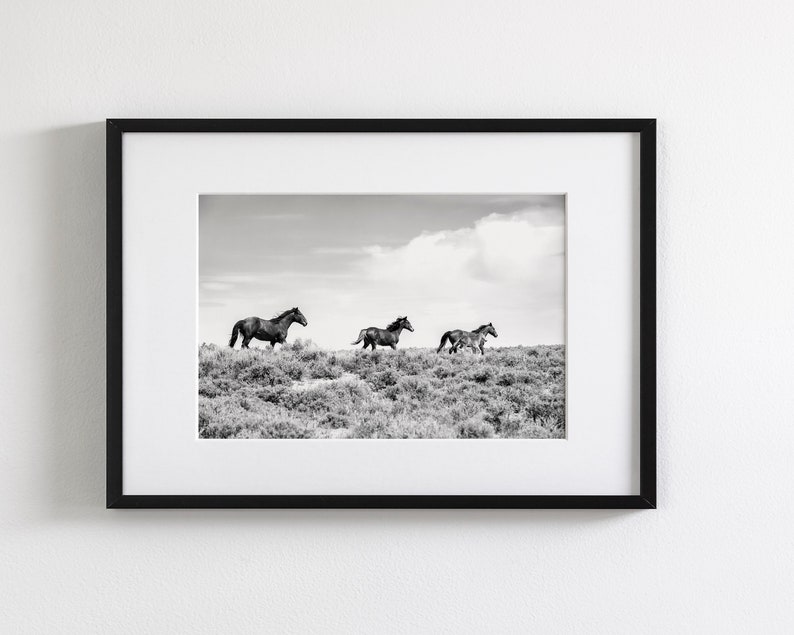 Running Horses in Black and White, Wild Mustangs, Western Art Print - Etsy