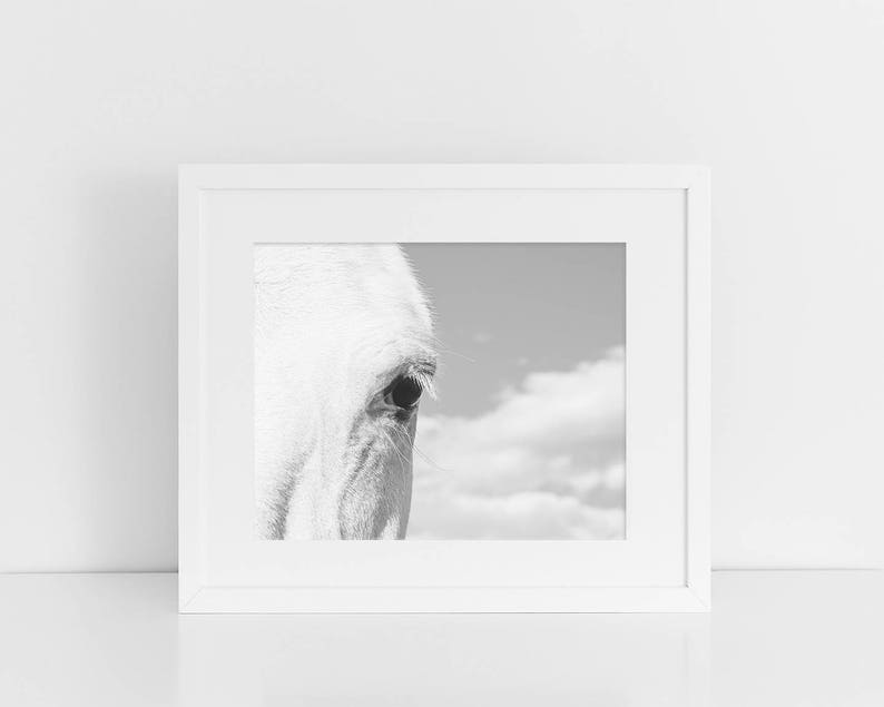 Horse Eye Photograph, Close Up White Horse, Physical Print image 2