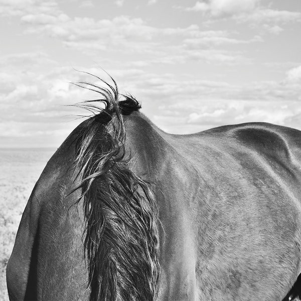 Contemporary Western Art, Black and White Photography, Horse Back Physical Print