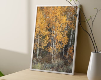 Orange Aspen Print, Beautiful Photography of Fall, Autumn Prints, Vertical Wall Artwork
