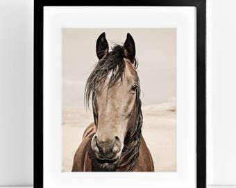 Western Horse Photograph in Color, Equine Wall Art, Physical Print