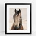 see more listings in the Horses in Color section