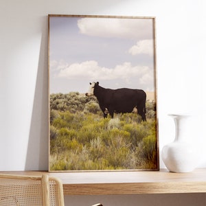 Modern Country Art Print, Fotografía de vaca, Western Wall Art, Fotografía original imagen 9