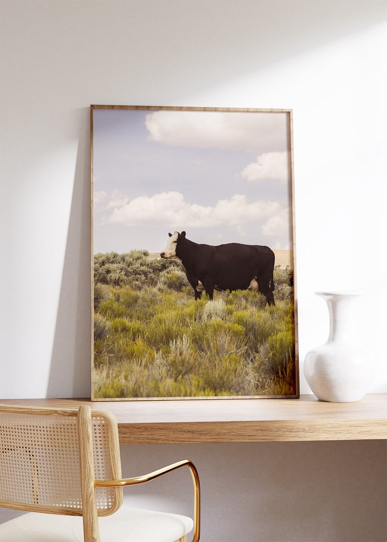 Modern Country Art Print, Cow Photograph, Western Wall Art, Original Photography image 9