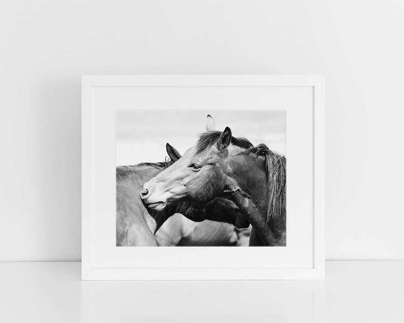 Rugged Western Horses Physical Print Horse Art Black and White Horse Photography
