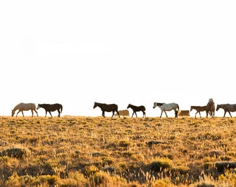 Golden Hour Horses, Gold Wall Print, Equine Artwork