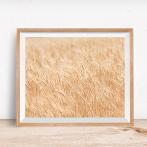 Minimalist Nature Photography, Wheat Fields Art Print, Physical Print image 4