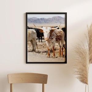 Desert Longhorn in Color Photograph, Ranch Photography, Western Artist, Cow Print, Vertical