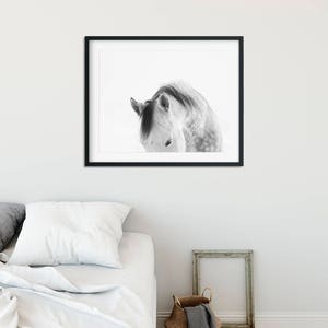 Modern White Horse Photograph White on White Horse Art Print PHYSICAL PRINT image 4
