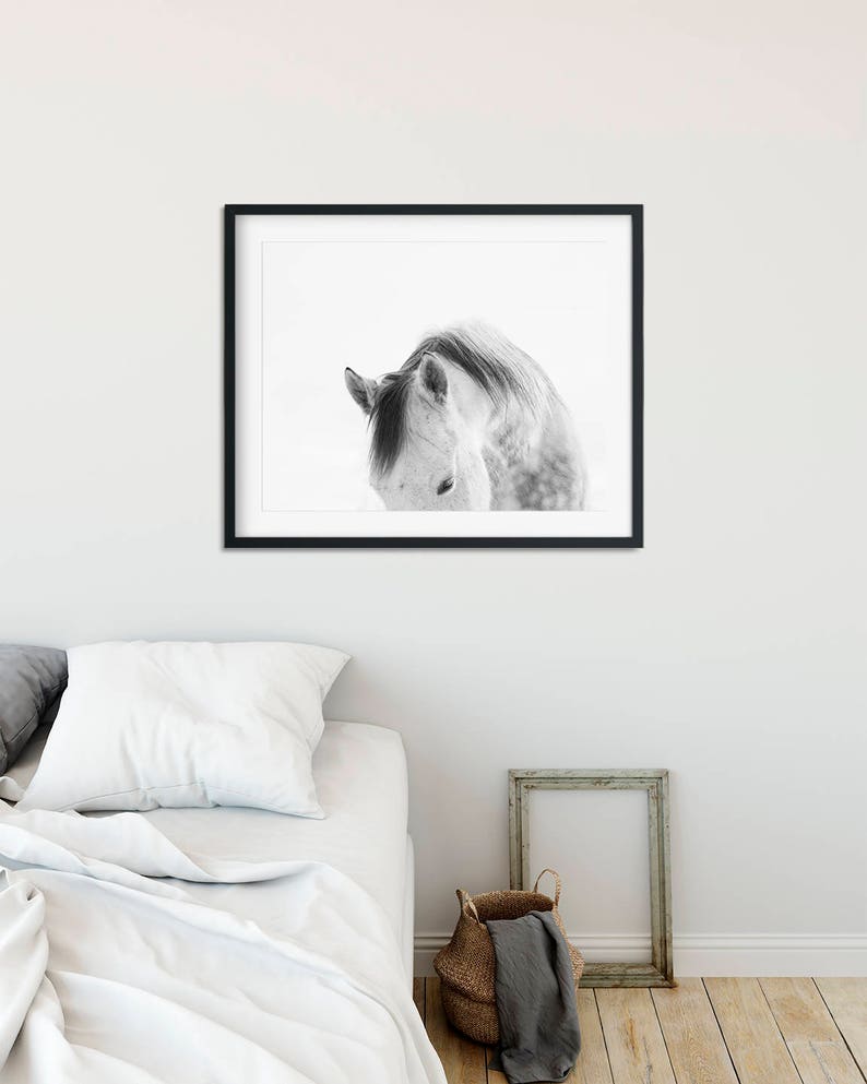 Modern White Horse Photograph White on White Horse Art Print PHYSICAL PRINT image 4