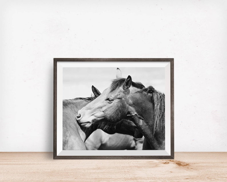 Rugged Western Horses Physical Print Horse Art Black and White Horse Photography
