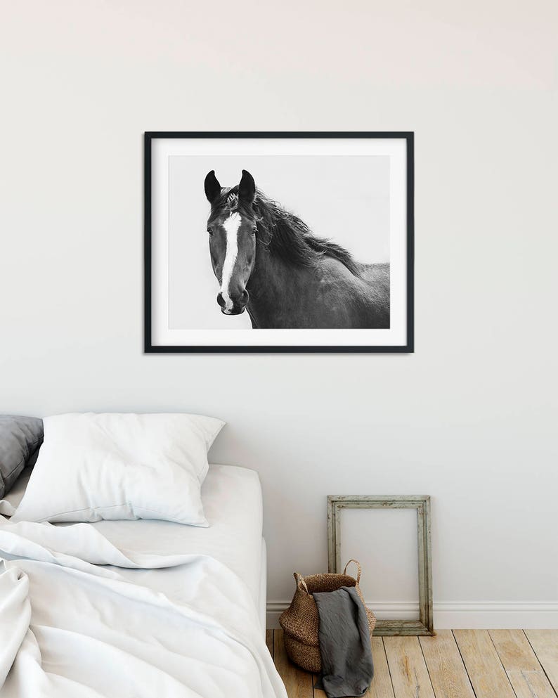 Horse Nature Photograph Black and White Western Horse Photo - Etsy