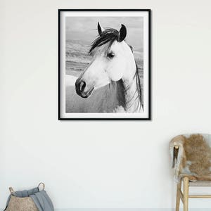 Rustic Country Photograph, Black and White Horse Art, Physical Print image 8