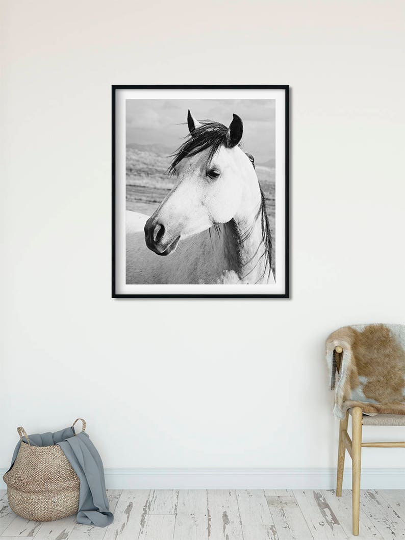 Rustic Country Photograph, Black and White Horse Art, Physical Print image 8