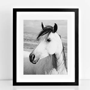 Rustic Country Photograph, Black and White Horse Art, Physical Print image 1