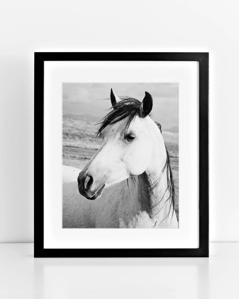 Rustic Country Photograph, Black and White Horse Art, Physical Print image 1