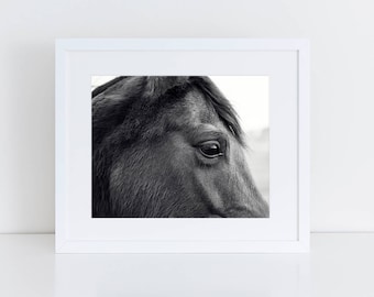 Horse Eye Picture | Close Up Horse Photograph in Black and White | PHYSICAL PRINT