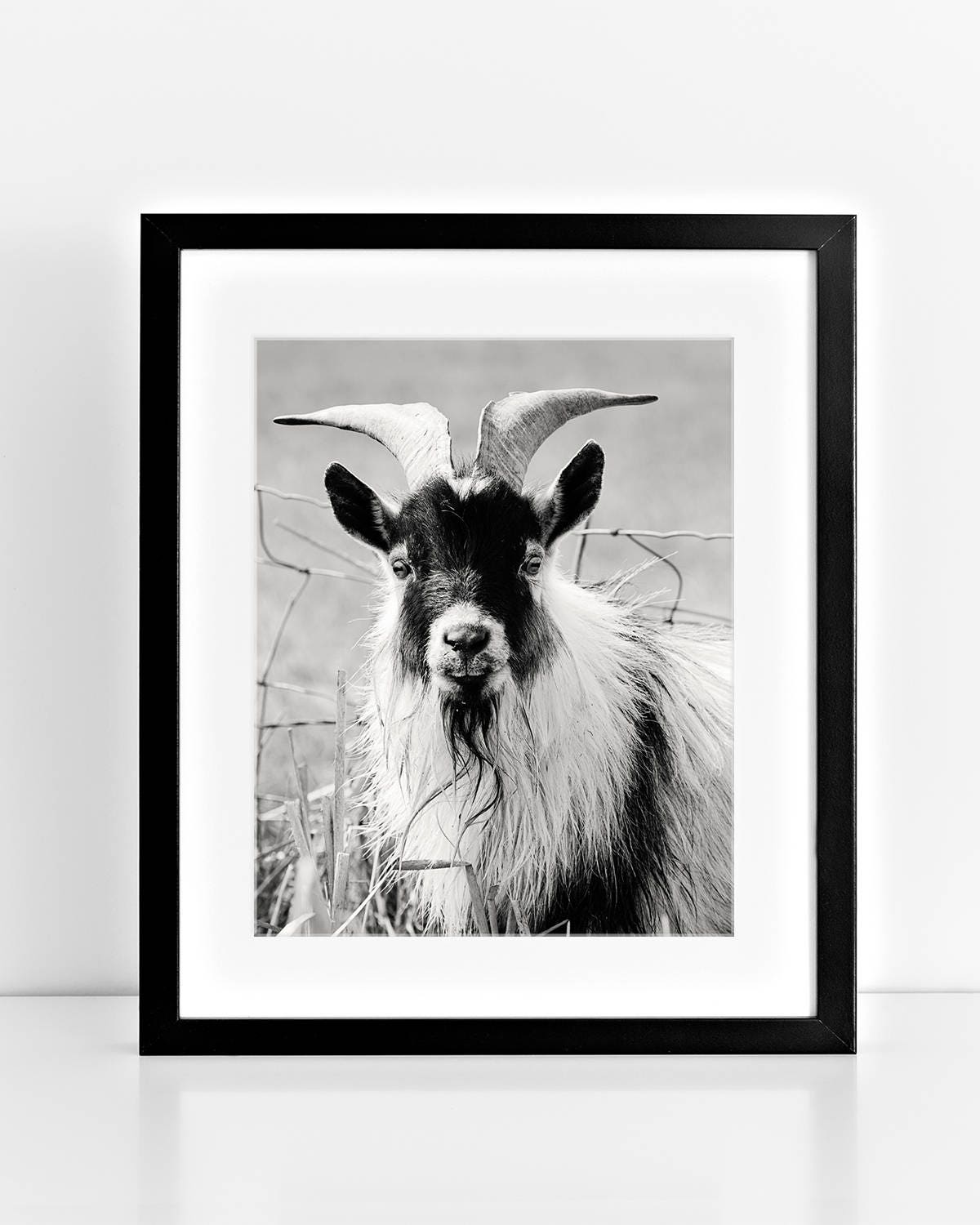 Black and White Billy Goat Portrait, Farmhouse Print - Etsy