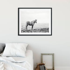 Icelandic Horse, Black and White Landscape Photograph, Equine Art, Physical Print image 4