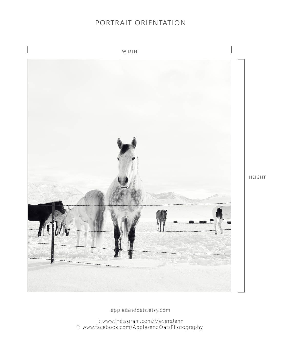 jamaica bay riding academy instagram