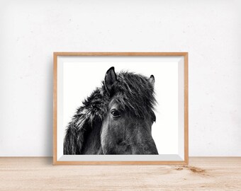 Impresión de caballo islandés negro: melena de estrella de rock, arte mural moderno