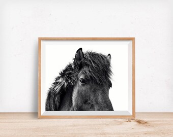 Black Horse Print, Physical Print, Icelandic Horse Wall Art