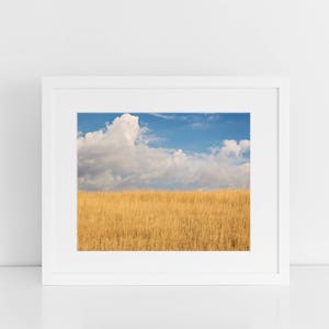 Sky and Field Bright Color Photograph, Montana Sky, Minimalist Landscape Art, Physical Print image 3