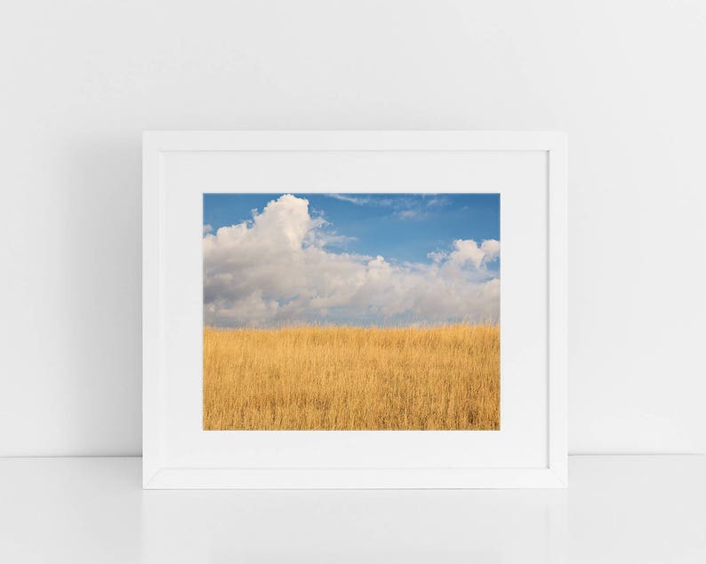 Sky and Field Bright Color Photograph, Montana Sky, Minimalist Landscape Art, Physical Print image 3