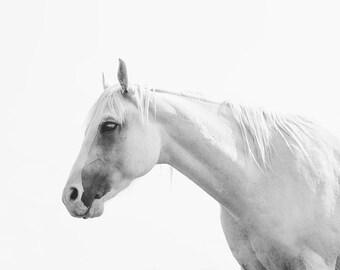 White Horse Photography in Black and White, Minimalist Wall Art Print