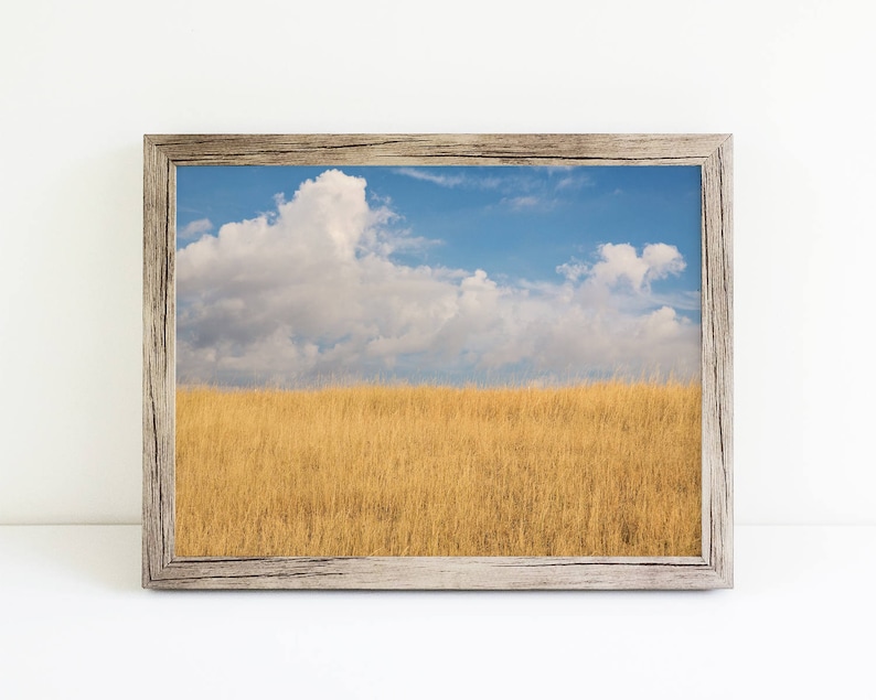 Sky and Field Bright Color Photograph, Montana Sky, Minimalist Landscape Art, Physical Print image 5