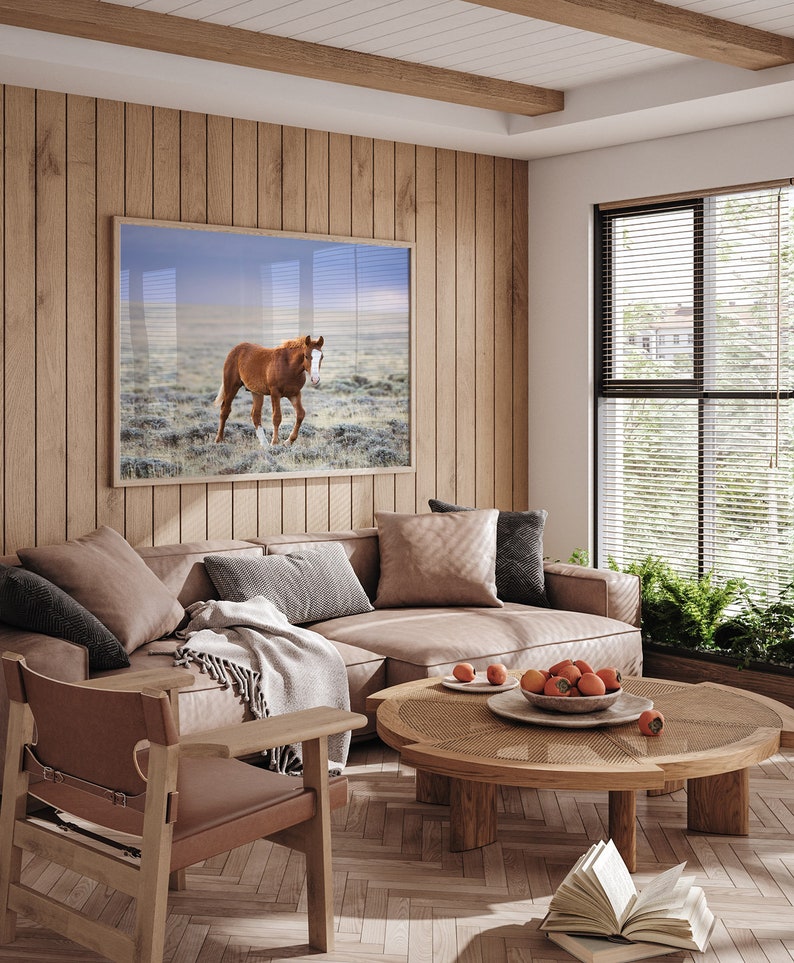 Little Curly, Young Wild Horse Photograph in Color, Horse Wall Art image 5