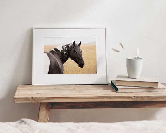 Stampa Su Tela InstyleArt: Occhio Di Cavallo, Quadro Artistico 80x60 Cm, Fatto In Germania, Pronto Da Appendere