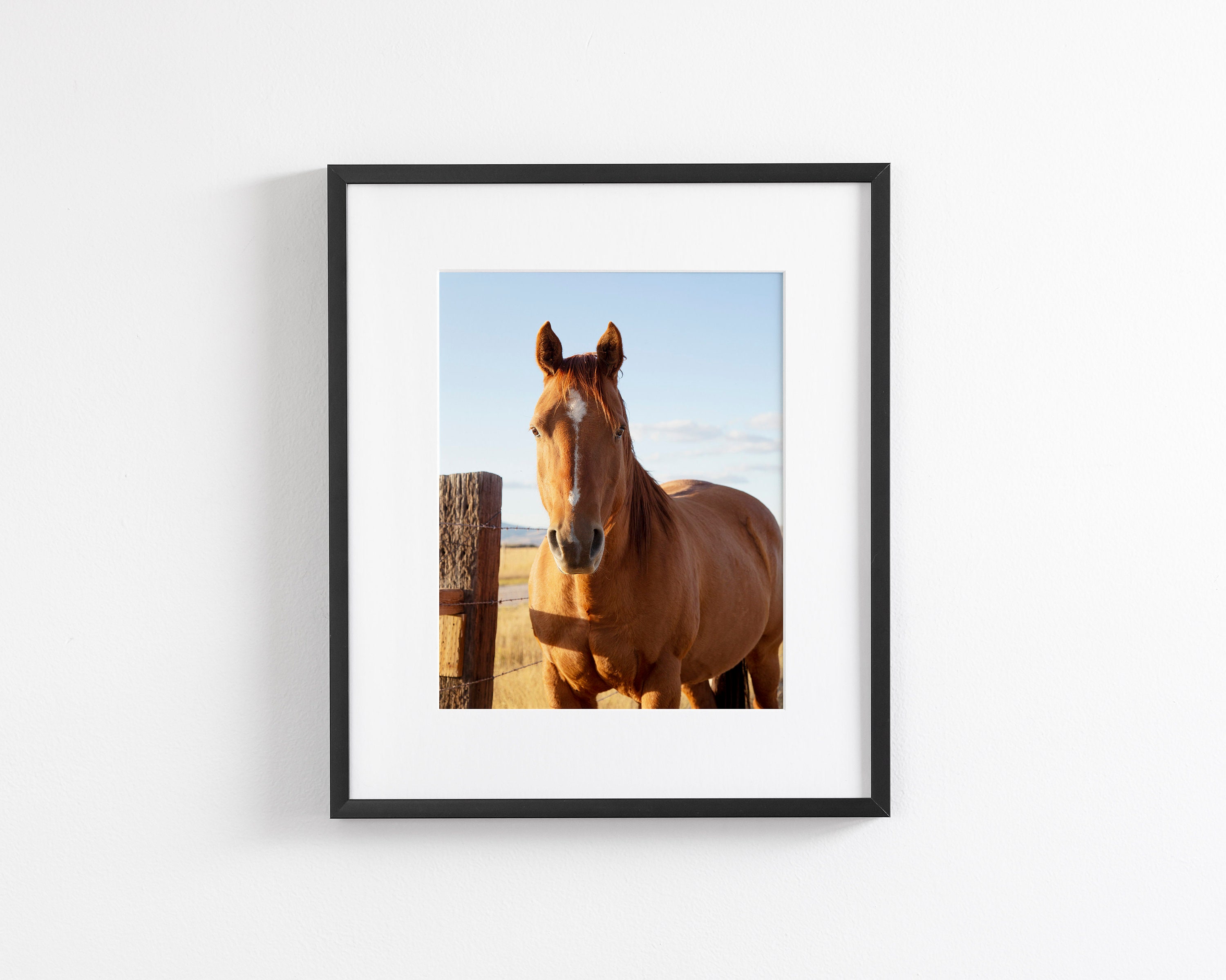 タペストリー アメリカ 天然毛（馬毛） 対象商品