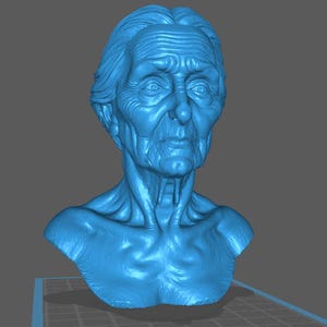 May include: A blue bust sculpture of an elderly person with detailed facial features, including wrinkles and a defined neck. The sculpture is set against a gray background, showcasing the intricate details of the aged face.