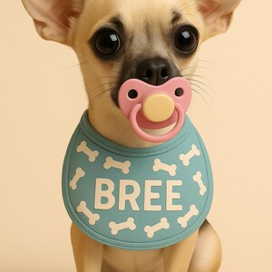 Personalized 3D Portrait of Your Pet with Pacifier and Bib | Digital Pet Art with Name | Unique Pet Gift