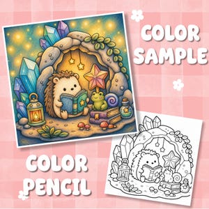 May include: A coloured illustration and a black and white line art version of a hedgehog reading a book inside a stone cave with crystals, a frog, a lantern, and books. The text "COLOR SAMPLE" and "COLOR PENCIL" appear on a pink checkered background.