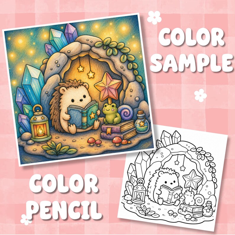 May include: A coloured illustration and a black and white line art version of a hedgehog reading a book inside a stone cave with crystals, a frog, a lantern, and books. The text "COLOR SAMPLE" and "COLOR PENCIL" appear on a pink checkered background.