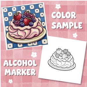 May include: A digital illustration featuring a colored dessert topped with strawberries, blueberries, and blackberries on a blue checkered background, alongside a black and white line art version. The text reads COLOR SAMPLE and ALCOHOL MARKER.