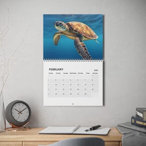 2025 Wall Calendar - Nature & Travel Photography