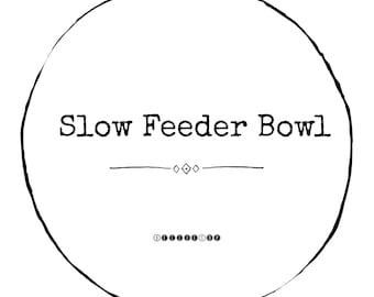 Slow Feeder Stainless Dog Bowl