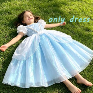 May include: A light blue dress with short puffed sleeves, a white lace bodice overlay, and a full, layered skirt made of sheer fabric. The bodice features silver trim and white floral accents at the waist. The text "only dress" is visible.