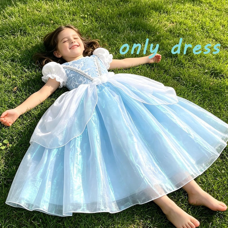 May include: A light blue dress with short puffed sleeves, a white lace bodice overlay, and a full, layered skirt made of sheer fabric. The bodice features silver trim and white floral accents at the waist. The text "only dress" is visible.