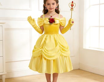 Belle Inspired Princess Costume, Yellow Velvet Dress Set with Accessories, Birthday Party Dress
