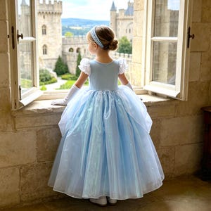 May include: A light blue floor-length dress with short puffed sleeves, a full tulle skirt, and white opera-length gloves. The garment features a fitted bodice and a matching light blue headband with a pearl-like beaded trim worn on the head.