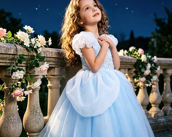 May include: A light blue floor-length dress with short puffed sleeves, a fitted bodice featuring white lace detailing, and a full tulle skirt. The dress has a layered design with a sheer overlay on the skirt and a round neckline.
