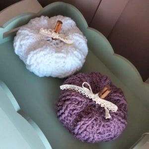 Juego de 2 pequeñas calabazas de ganchillo con decoración de cable en morado y blanco