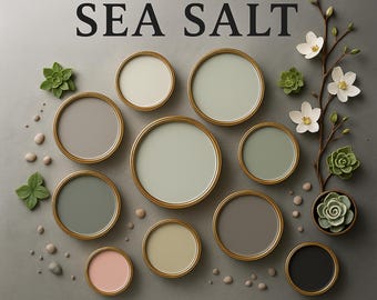 Sea Salt Inspired Home Color Palette: Coastal Whole House Scheme (PDF Guide)