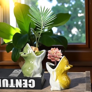 Maceta de suculentas con forma de rana caprichosa – Maceta de cerámica con dibujos animados y boca abierta – Bonita decoración para jardín e interior (verde/amarillo/marrón)
